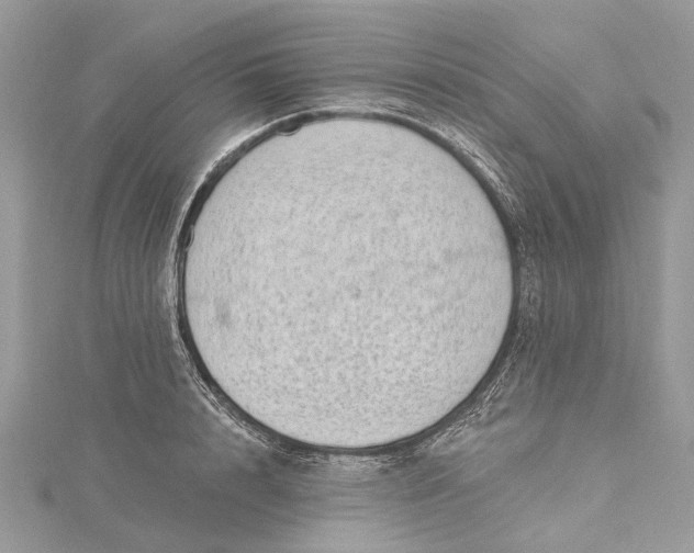 X0000115520848200911201657