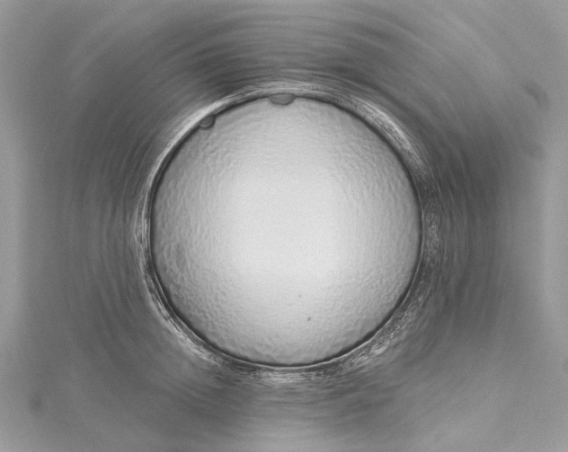 X0000115520852200911201658