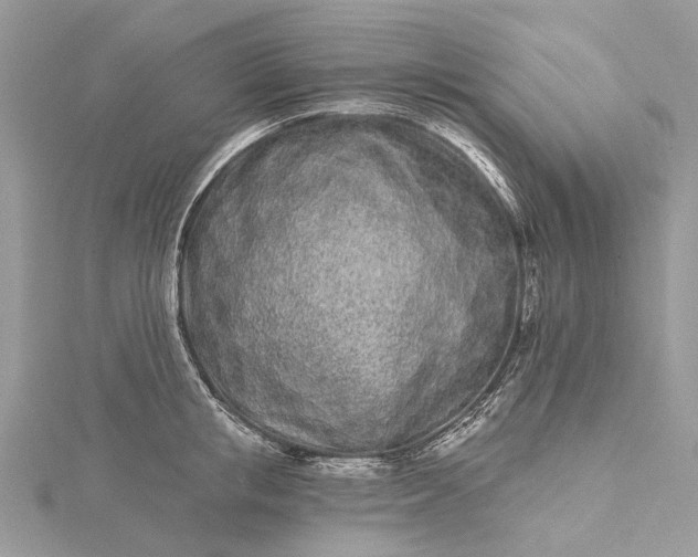 X0000115520853200911201658