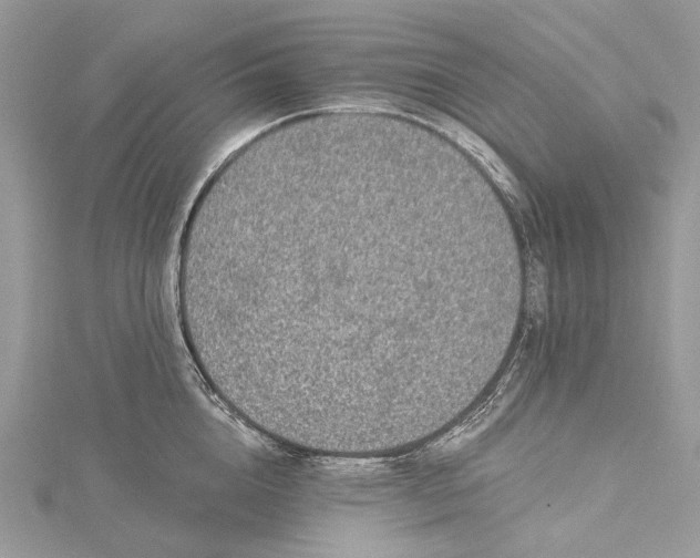 X0000115520856200911201658