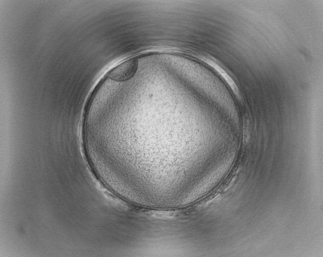 X0000115520861200911201658