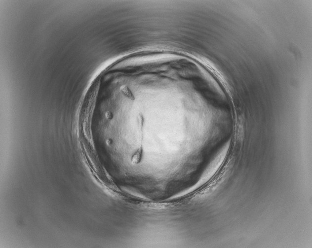 X0000115520862200911201658