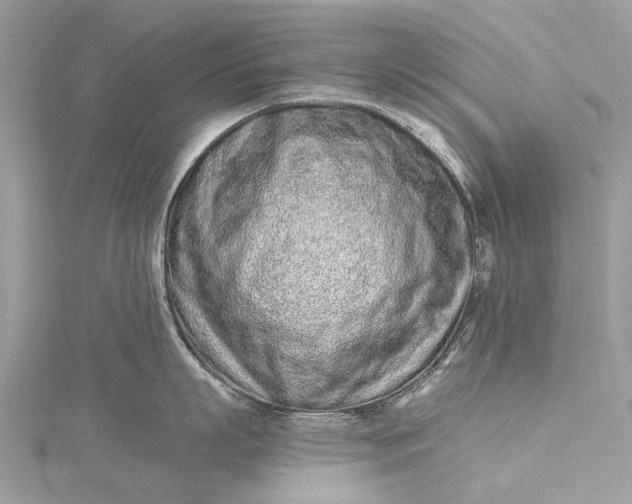 X0000115520863200911201658