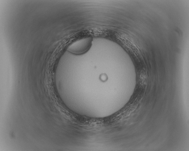 X0000115520865200911201657