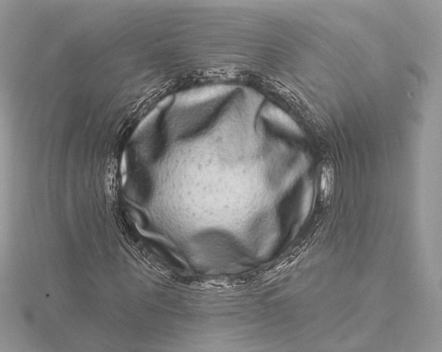 X0000115520867200911201657