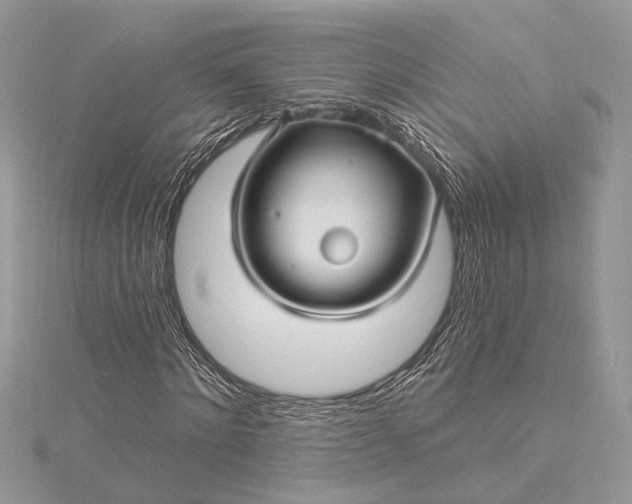 X0000115520868200911201657