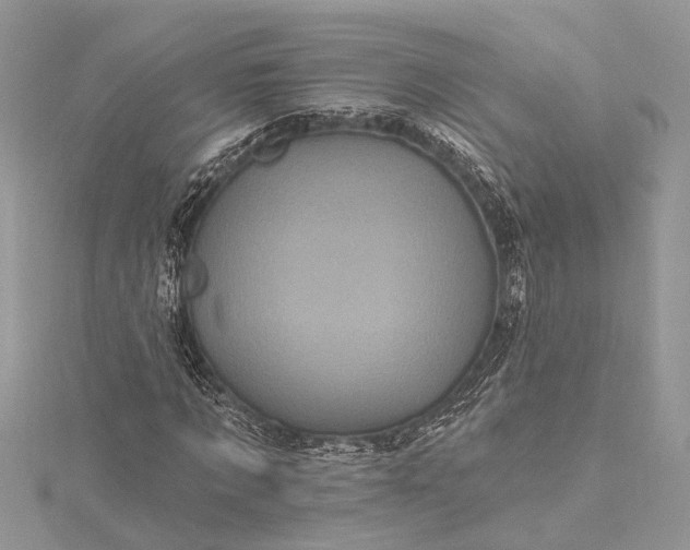 X0000115520869200911201657