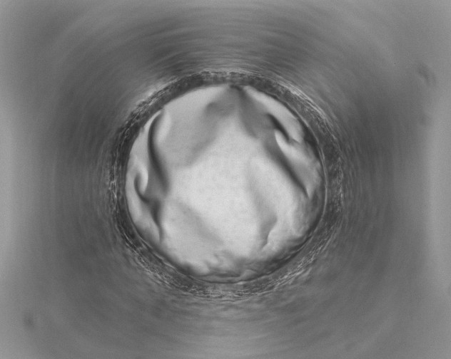 X0000115520870200911201657