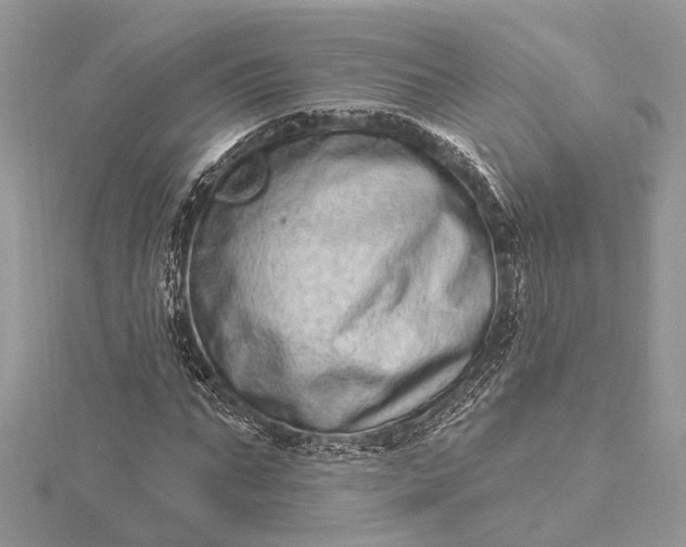 X0000115520871200911201657