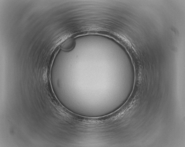 X0000115520873200911201657