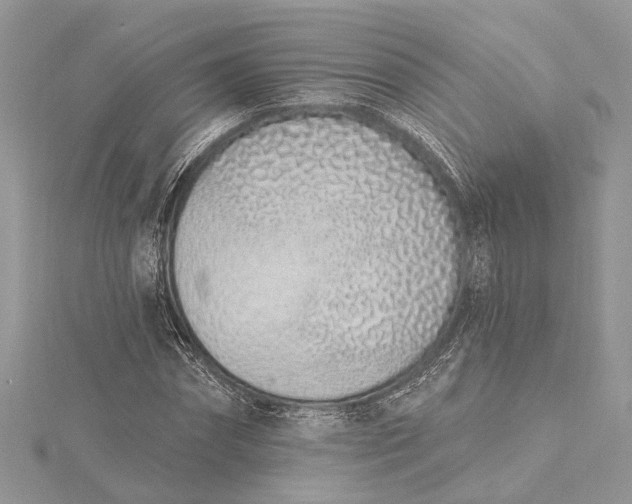 X0000115520874200911201657