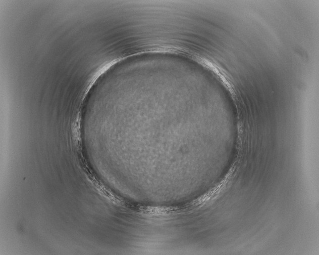 X0000115520875200911201657