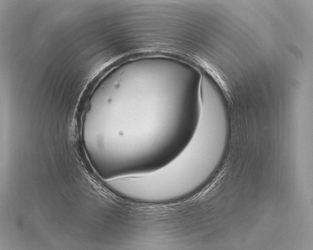 X0000115520876200911201657