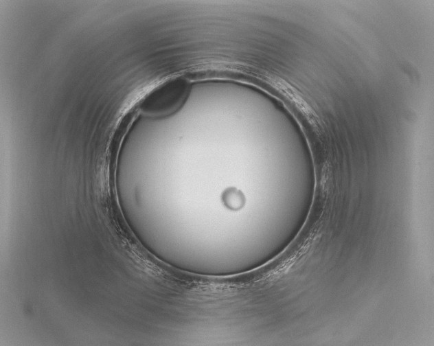 X0000115520877200911201657