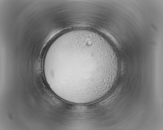 X0000115520878200911201657