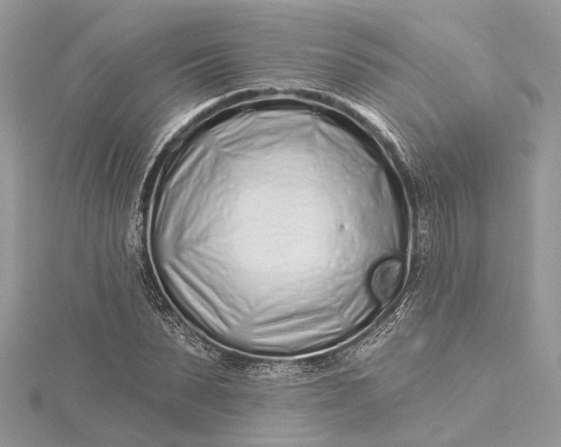 X0000115520879200911201657