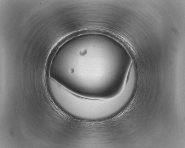 X0000115520880200911201657