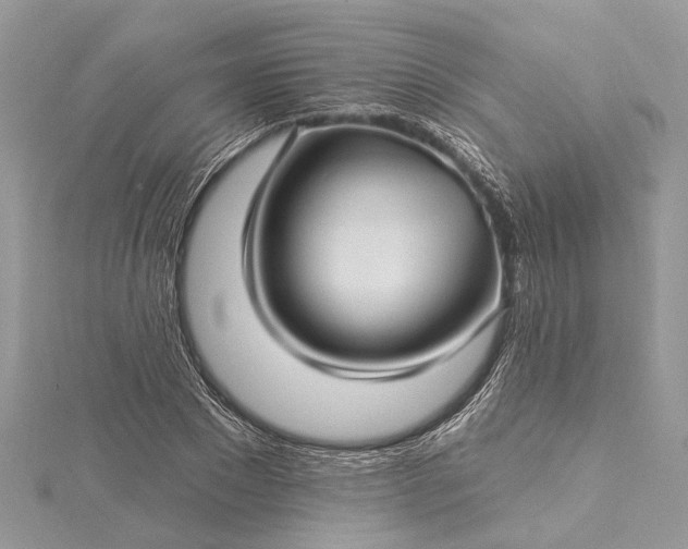 X0000115520881200911201657