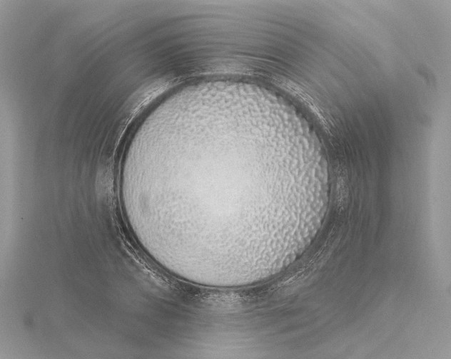 X0000115520882200911201657