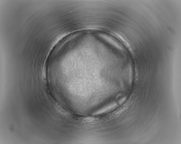 X0000115520883200911201657