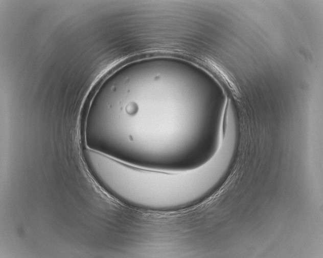 X0000115520884200911201657