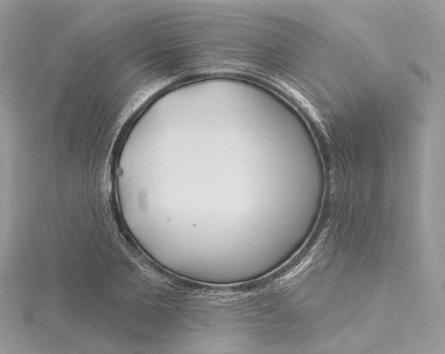 X0000115520885200911201657