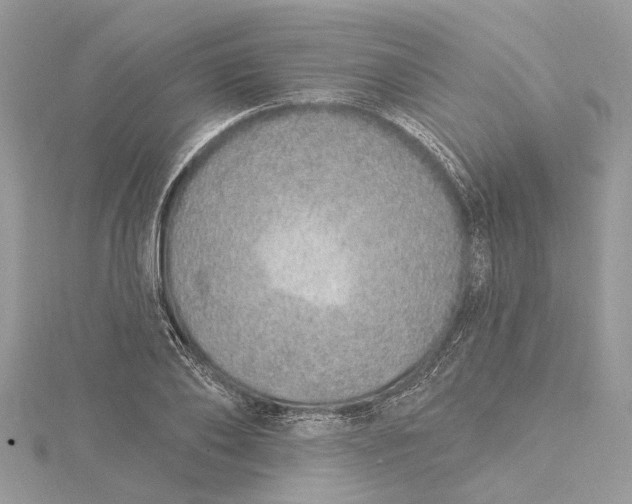 X0000115520886200911201657