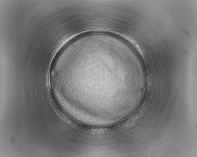 X0000115520887200911201657