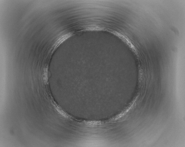 X0000115520889200911201657