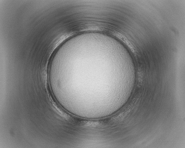 X0000115520890200911201657