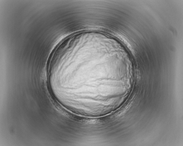 X0000115520891200911201657