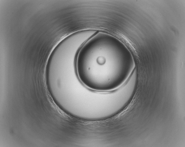 X0000115520892200911201657