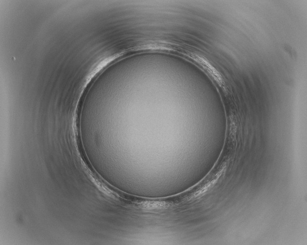 X0000115520893200911201657