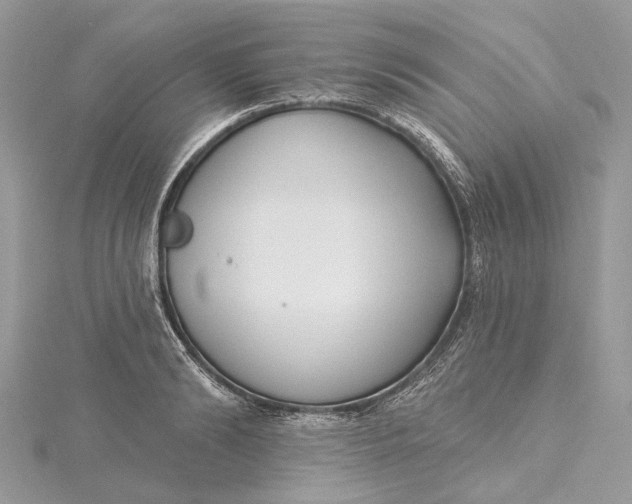 X0000115520894200911201657