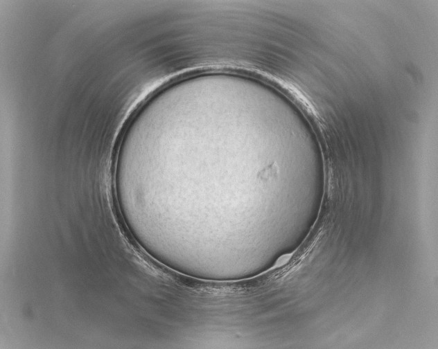 X0000115520895200911201657