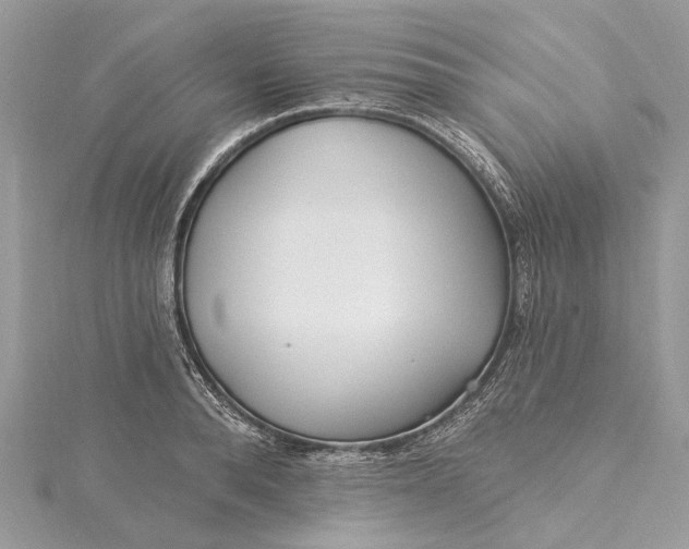 X0000115520896200911201657