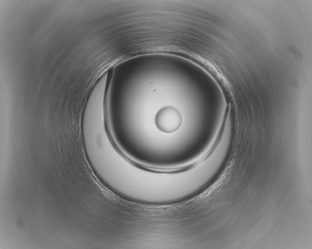 X0000115520897200911201656