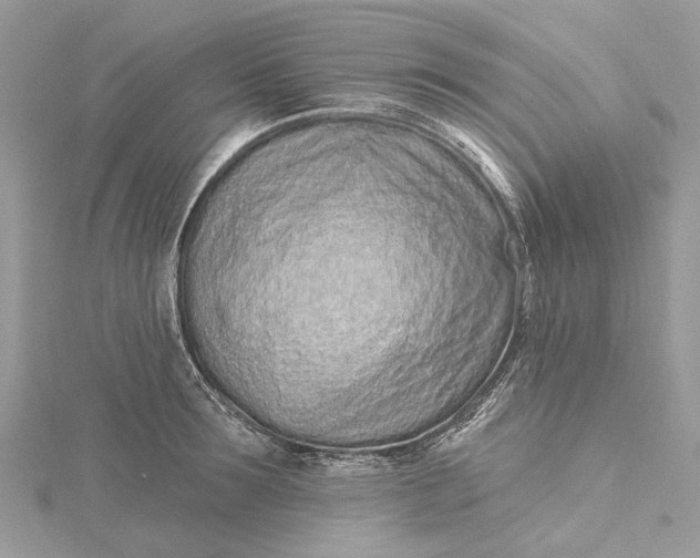 X0000115520899200911201656