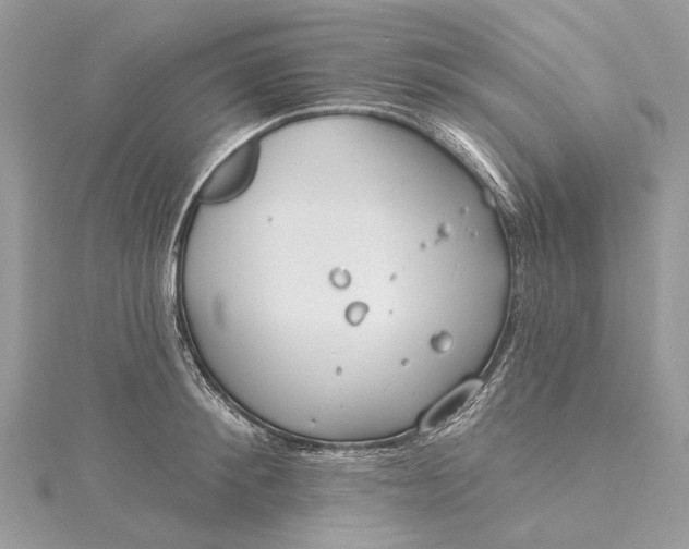 X0000115520900200911201656