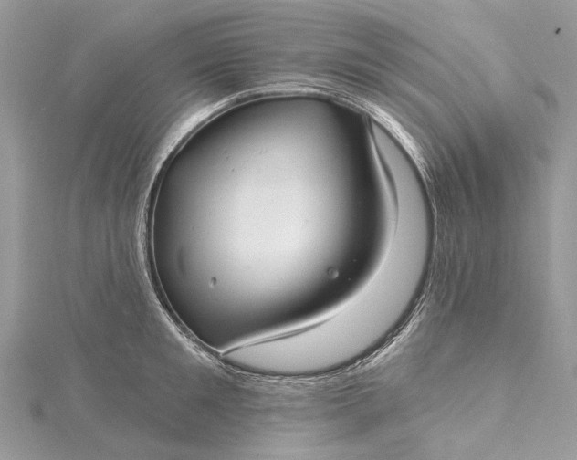 X0000115520901200911201656