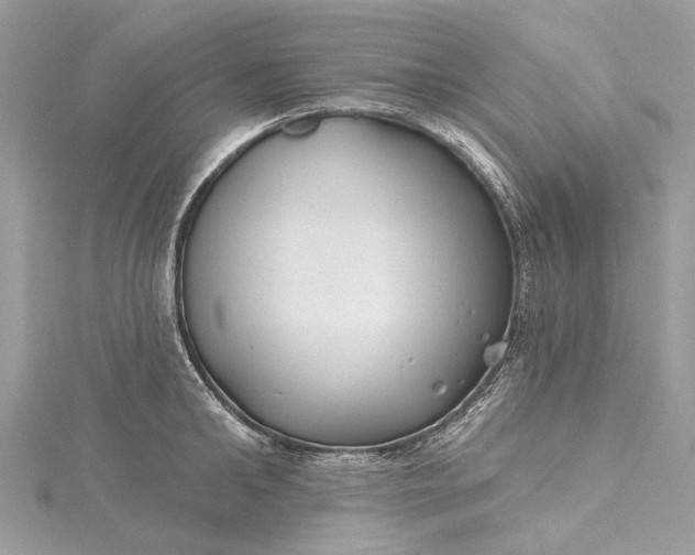 X0000115520902200911201656