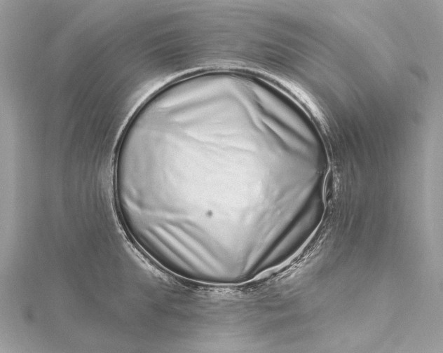 X0000115520903200911201656