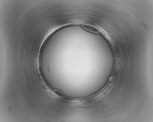 X0000115520904200911201656