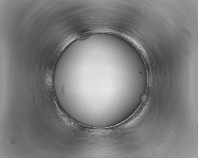 X0000115520905200911201656