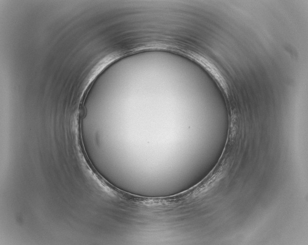 X0000115520906200911201656