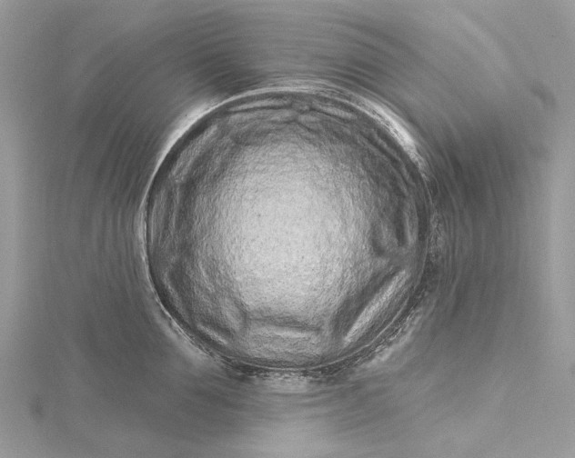 X0000115520907200911201656