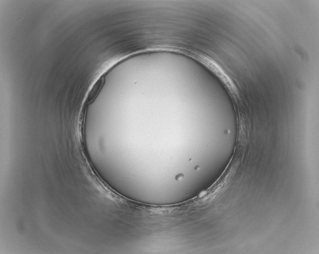 X0000115520908200911201656