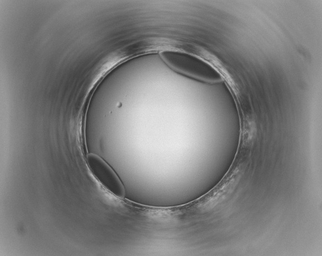 X0000115520909200911201656