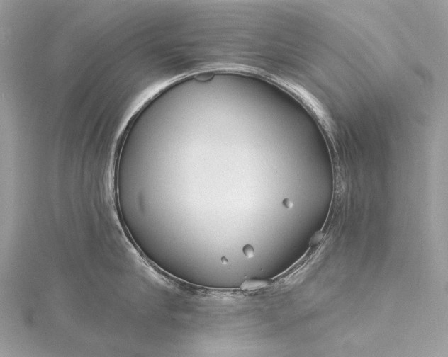 X0000115520910200911201656