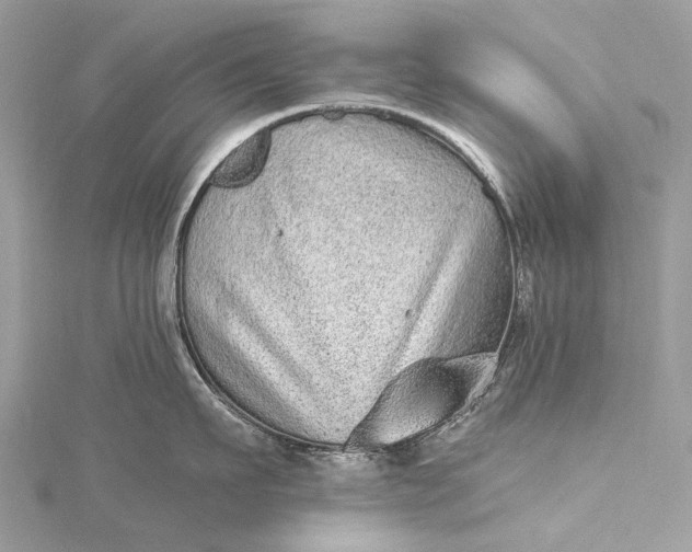 X0000115520911200911201656